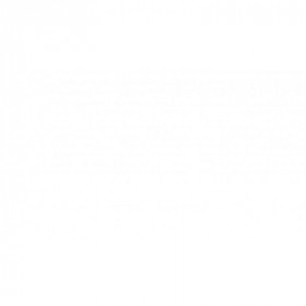 Комплект запасных ножей для стриппера WS-14 EKF Professional