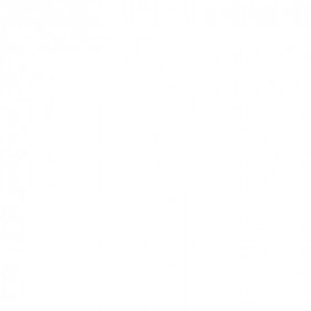 Комплект запасных ножей для стриппера WS-11 EKF Professional