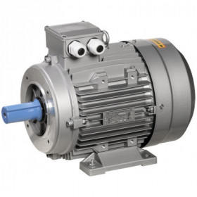 Электродвигатель асинхронный трехфазный АИС 56B4 380В 0.09кВт 1500об/мин 2181 серии ONI Электродвигатель асинхронный трехфазный АИС 56B4 380В 0.09кВт 1500об/мин 2181 серии ONI