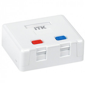 ITK Корпус настенной розетки для установки двух модулей Keystone Jack белый