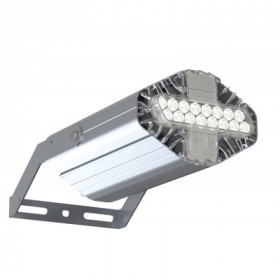 Прожектор L-lego II 30 banner/22/Д/5.0К/L210/01/IKIX-61/220AC IP66 LEDEL