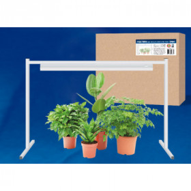 UFP-G03S WHITE UFP-G03S WHITE