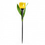 USL-C-452 PT305 YELLOW TULIP