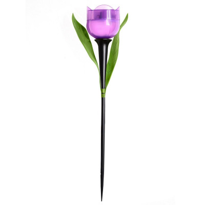 USL-C-453 PT305 PURPLE TULIP