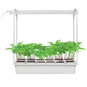 ULT-P34-10W SPBR IP20 WHITE 12