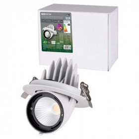 Светильник встраиваемый поворотный "Акцент-1" LED DSL-01-030-NW 30 Вт. 24°. 4000 К. 90 Ra. IP40. TDM