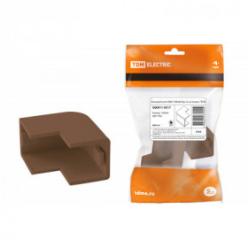 Внешний угол КМН 100х60 бук (2 шт. комп.) TDM