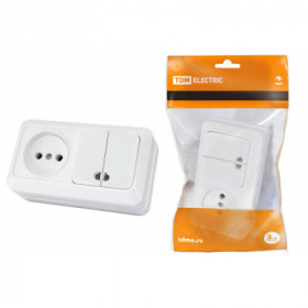 Блок комбинированный выкл. 2-кл. с п 10А + розетка 2П 10А 250В БКВР IP20 белый "Ладога" TDM