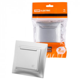 Розетка 2П+З 16А 250В IP44 с крышкой серебр. металлик "Лама" TDM