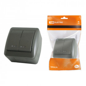 Выключатель 2-кл. открытой установки с подсветкой IP44 10А серый "Селигер" TDM